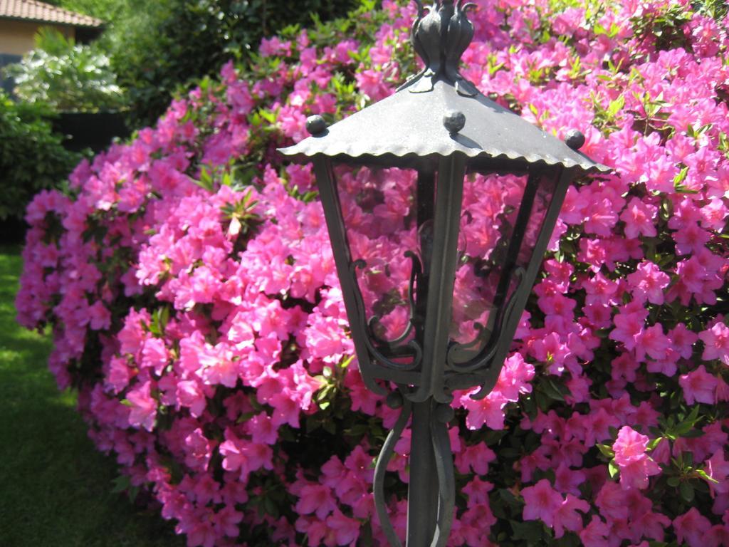 Villa Margherita Lake Maggiore 외부 사진