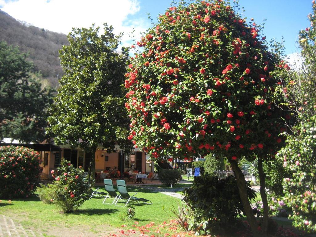 Villa Margherita Lake Maggiore 외부 사진